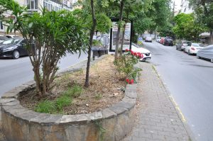 Bakırköy Belediye Başkanı Kartaltepe Mahalesindeki Görüntüyü bir de  siz bakın