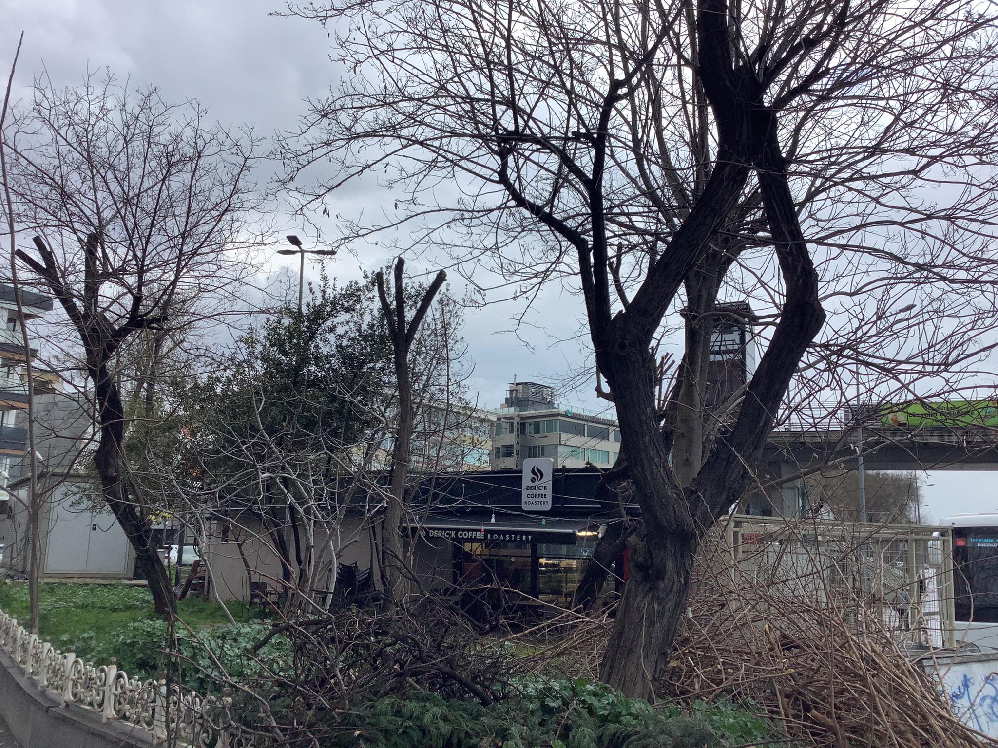 Ağaç Budandıktan Sonra Dezenfekte Edilmeli ve Besleyici Sıvı Gübre Verilmelidir