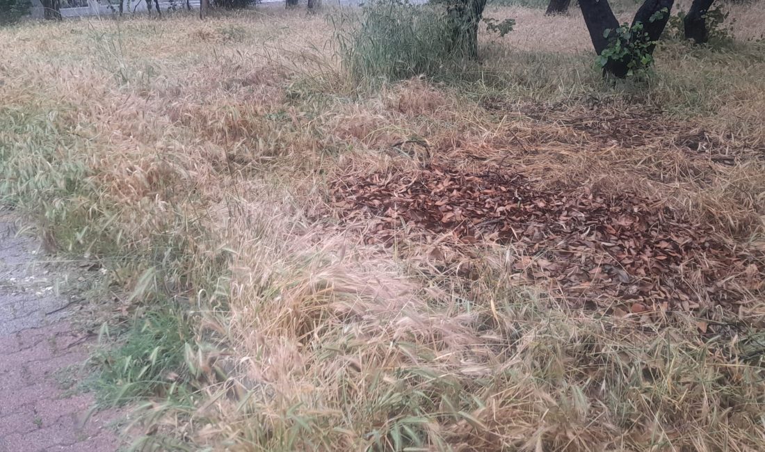 Ataköy’e Bu Görüntü Yakışmıyor