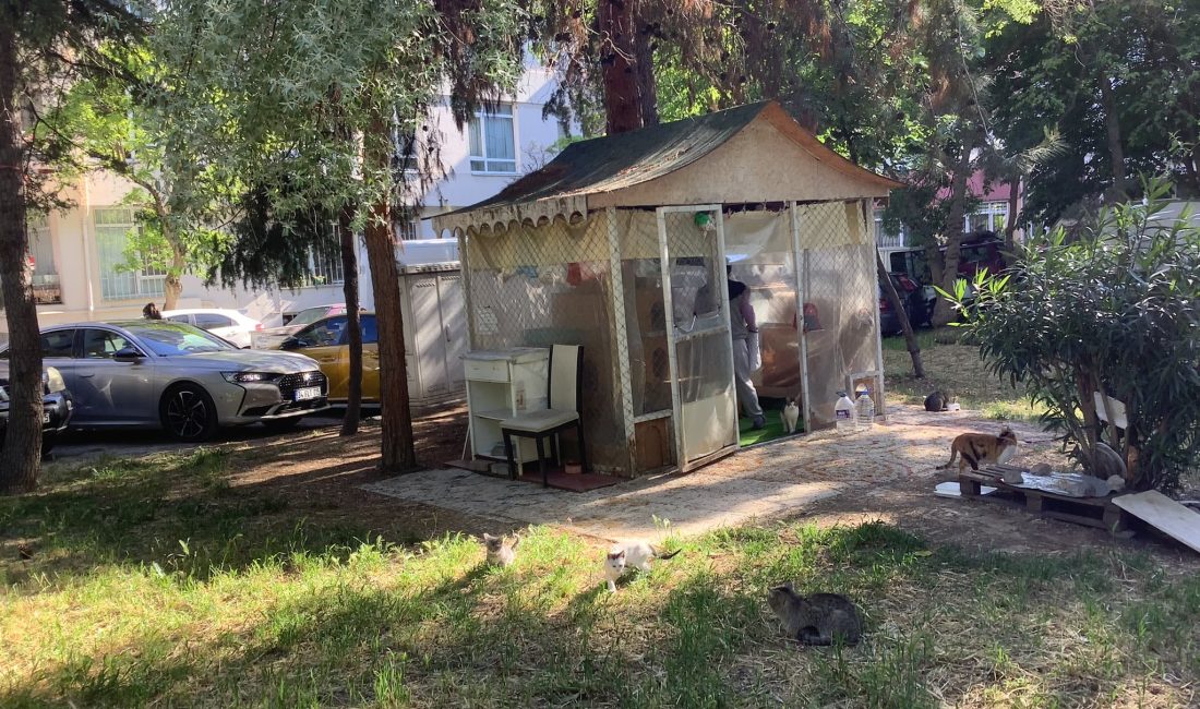 Zeytinlik Mahallesi Fazıl Paşa