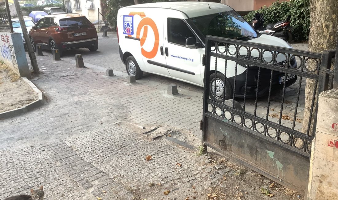 Bakırköy Millet Parkı’nın Demir