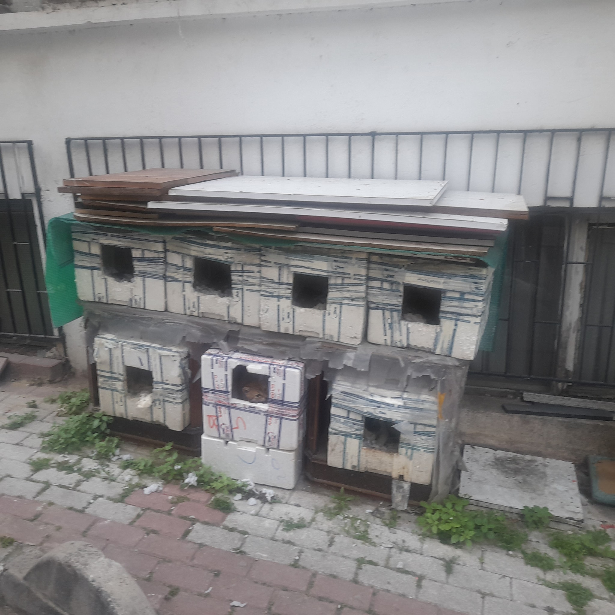 Bakırköy Belediye Başkanım, Lütfen Bir Doktor Gözüyle Değerlendirir misiniz?