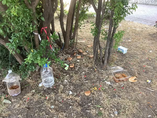 Bakırköy Kartaltepe Mahallesi’nde Park Manzarası Bakırköy’e Yakışmıyor!