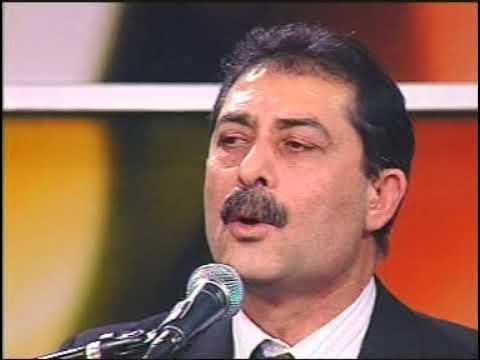 SİVRİSİNEK