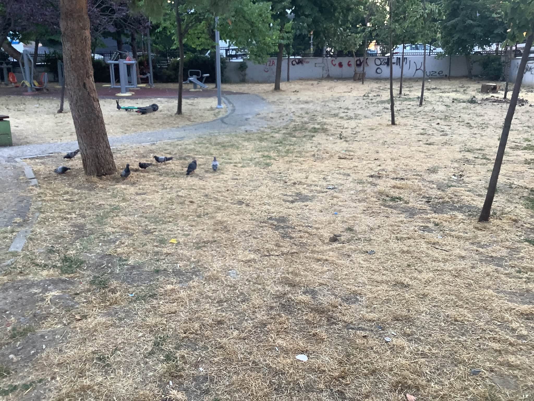 Bakırköy Kartaltepe Millet Parkı’na Gelen Çocuklardan Özür Diliyoruz