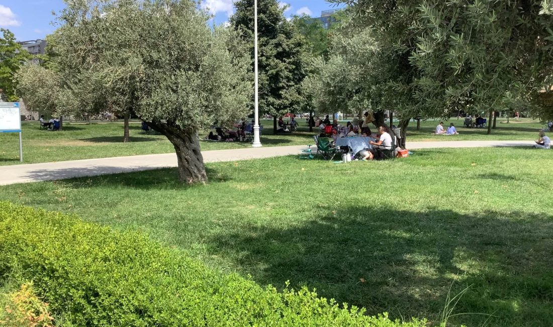 Baruthane Millet Bahçesi Hakkında